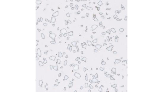 Искусственный камень Staron QD212