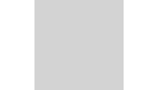 Искусственный камень Staron Fog SF020