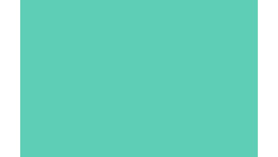 Пленка Oracal 641, цвет Цвет мяты 055