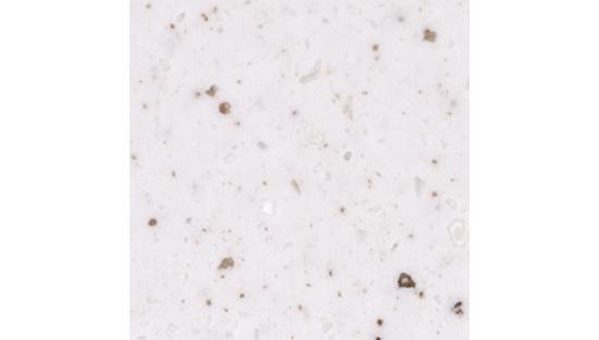 Искусственный камень Hanex T-068 Rice Cookie
